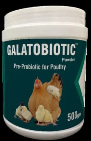 Galatobiotic Powder